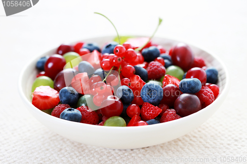 Image of berry fruits
