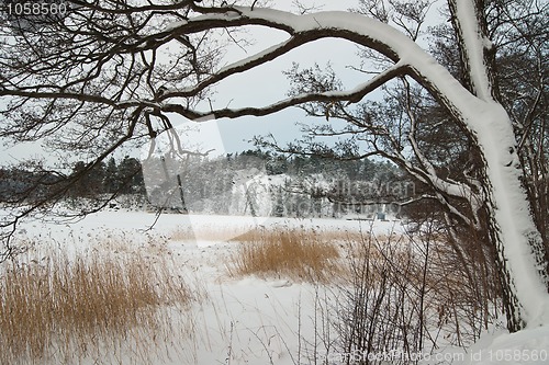 Image of Winter