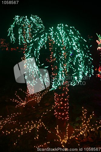 Image of Palm Trees Made From Lights