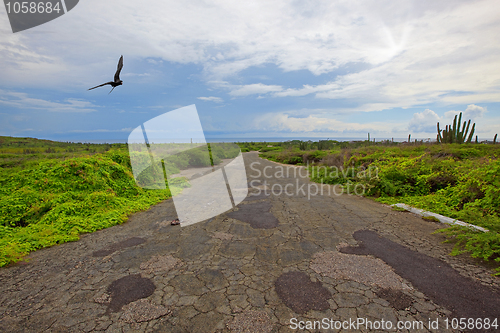 Image of Aruba landscape