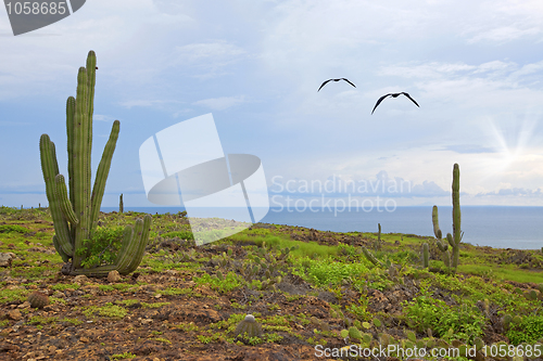 Image of Aruba landscape