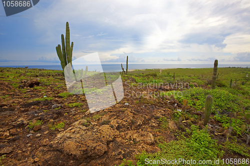 Image of Aruba landscape