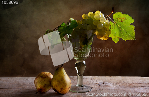 Image of Grapes and Pears