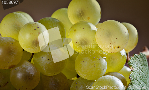 Image of White Grapes