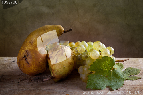 Image of Grapes and Pears