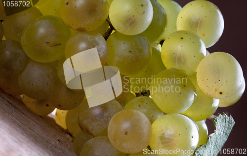 Image of White Grapes