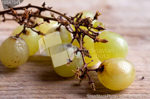 Image of White Grapes