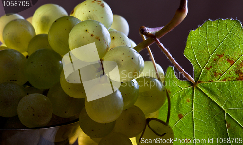 Image of White Grapes