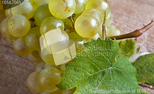 Image of White Grapes