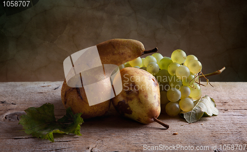 Image of Grapes and Pears