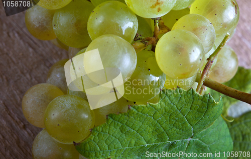 Image of White Grapes