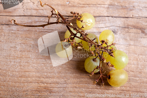 Image of White Grapes