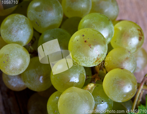 Image of White Grapes