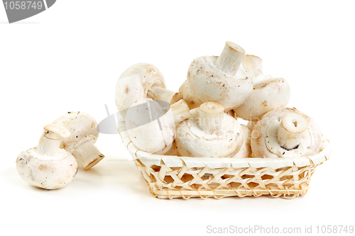 Image of Mushrooms champignon in wooden basket