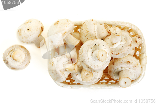 Image of Mushrooms champignon in wooden basket