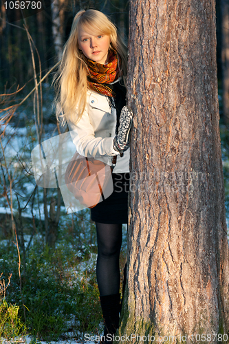 Image of Blonde peers out for stem tree in autumn wood