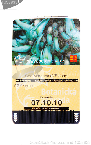 Image of Ticket in Prague fata morgana garden