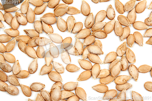 Image of Pumpkin seed