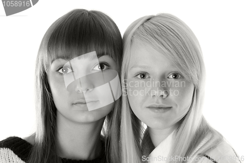 Image of Portrait two girls of the blonde and brunettes monochrome