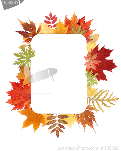 Image of Autumn sheet by frame