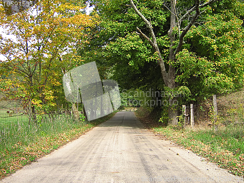 Image of Autumn Road