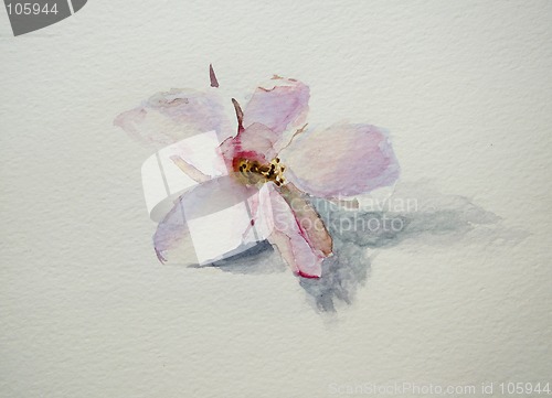 Image of Beautiful  flower