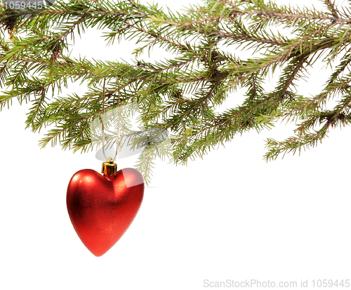 Image of Branch ate a Christmas ornament