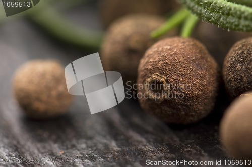 Image of allspice with fresh rosemary