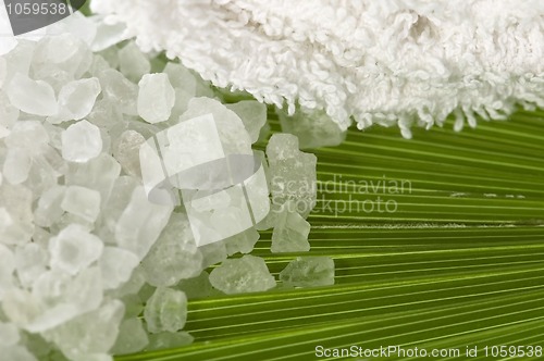 Image of bath salt and palm leaf