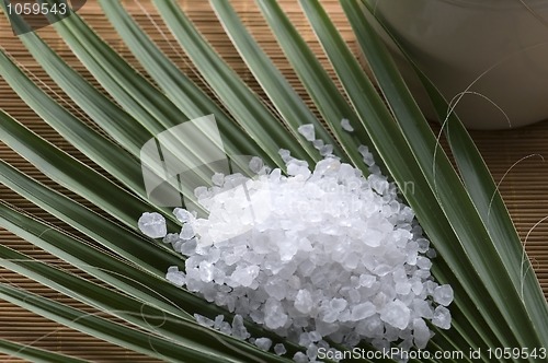 Image of bath salt and palm leaf