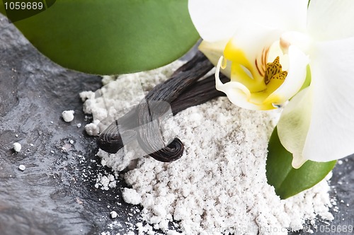 Image of vanilla beans with aromatic sugar and flower
