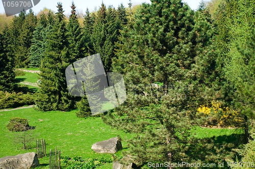 Image of spring. peaceful landscape. majestic garden