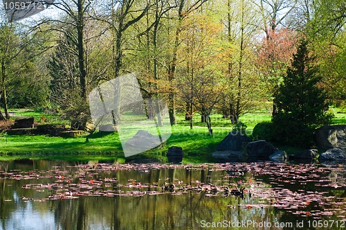 Image of japanese garden. spring