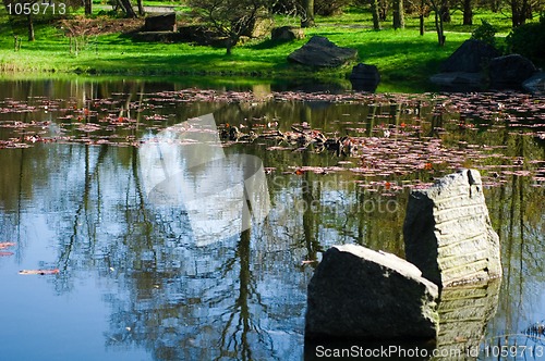 Image of japanese garden. spring