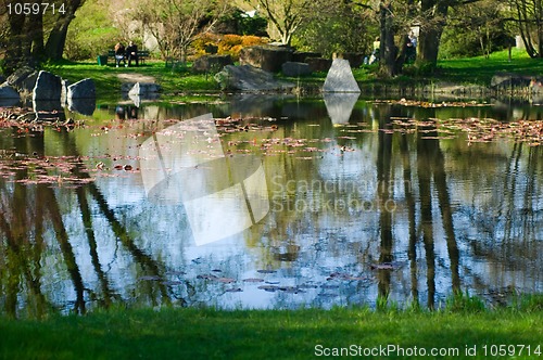 Image of japanese garden. spring