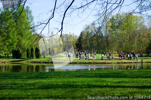 Image of japanese garden. spring