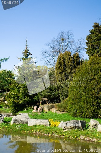 Image of japanese garden. spring