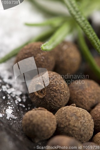 Image of allspice with fresh rosemary