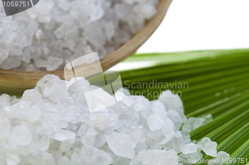 Image of bath salt and palm leaf 