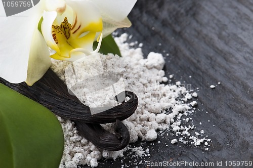 Image of vanilla beans with aromatic sugar and flower
