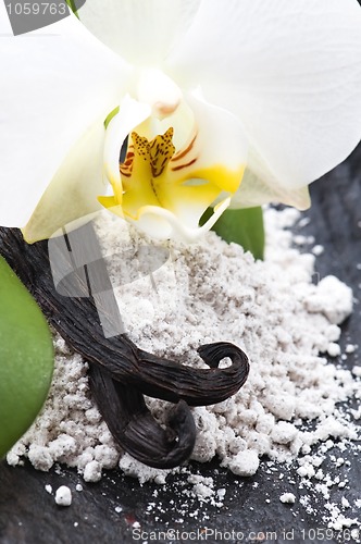 Image of vanilla beans with aromatic sugar and flower