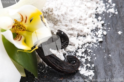 Image of vanilla beans with aromatic sugar and flower