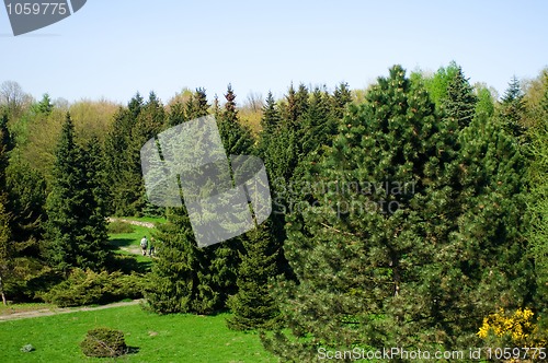 Image of spring. peaceful landscape. majestic garden