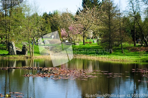 Image of japanese garden. spring