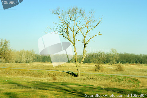 Image of autumn landscape 