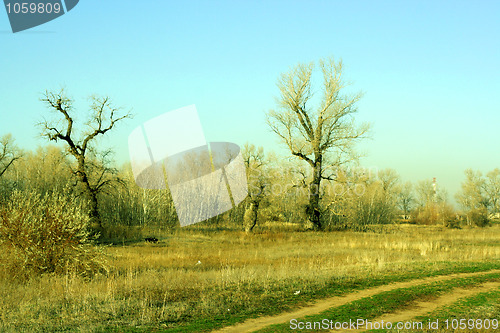 Image of autumn landscape 