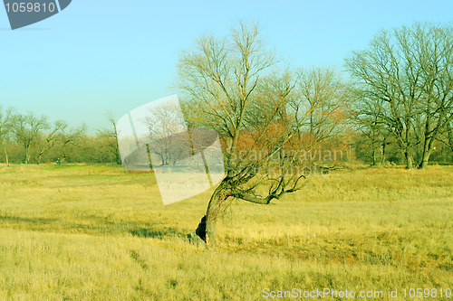 Image of autumn landscape 