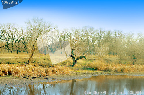 Image of autumn landscape 