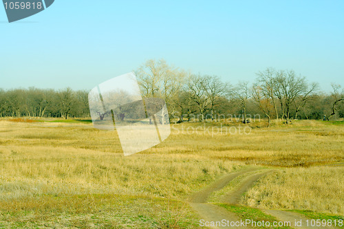 Image of autumn landscape 