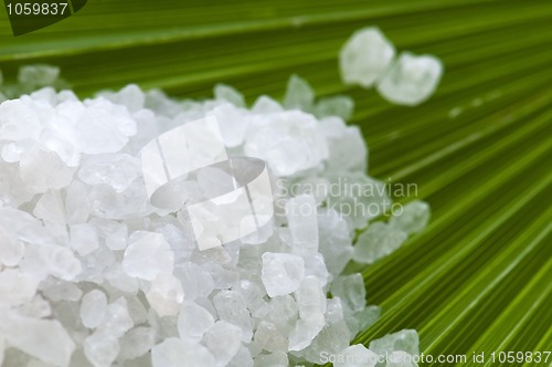 Image of bath salt and palm leaf